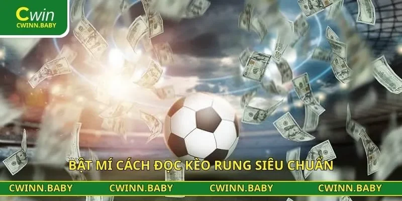 Bật mí cách đọc kèo rung siêu chuẩn