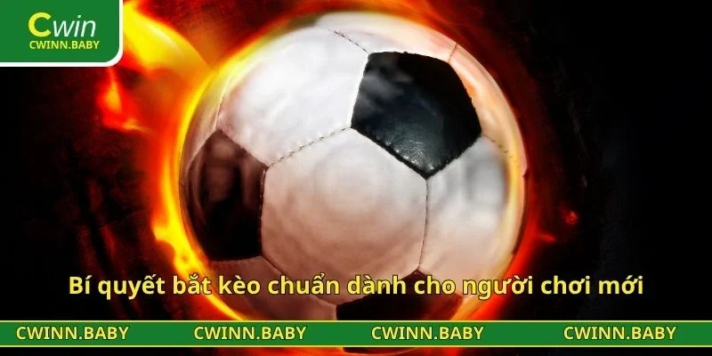 Bí quyết bắt kèo chuẩn dành cho người chơi mới
