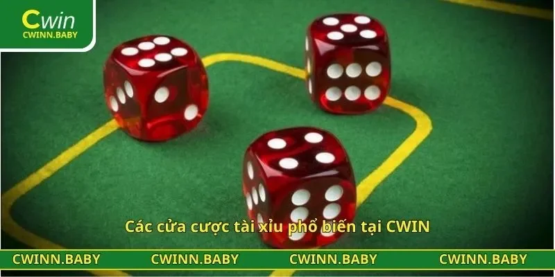 Các cửa cược tài xỉu phổ biến tại CWIN