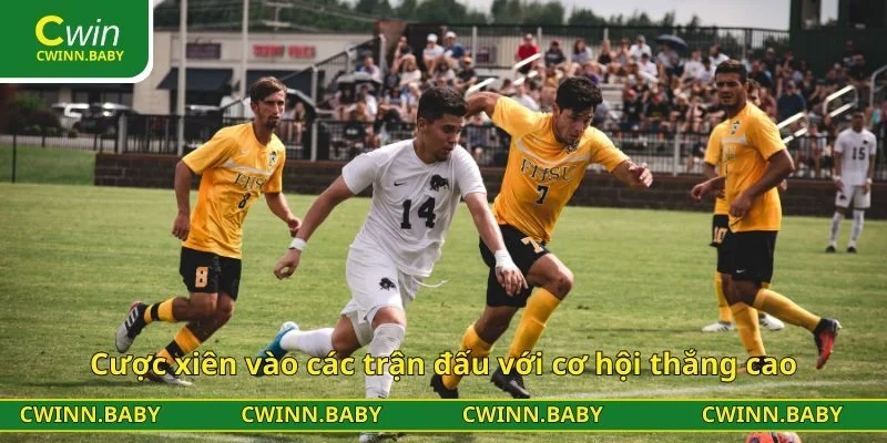 Cược xiên vào các trận đấu với cơ hội thắng cao