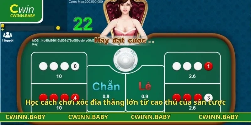 Học cách chơi xóc đĩa thắng lớn từ cao thủ của sân cược